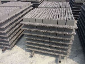 Didelio pluošto padėklai